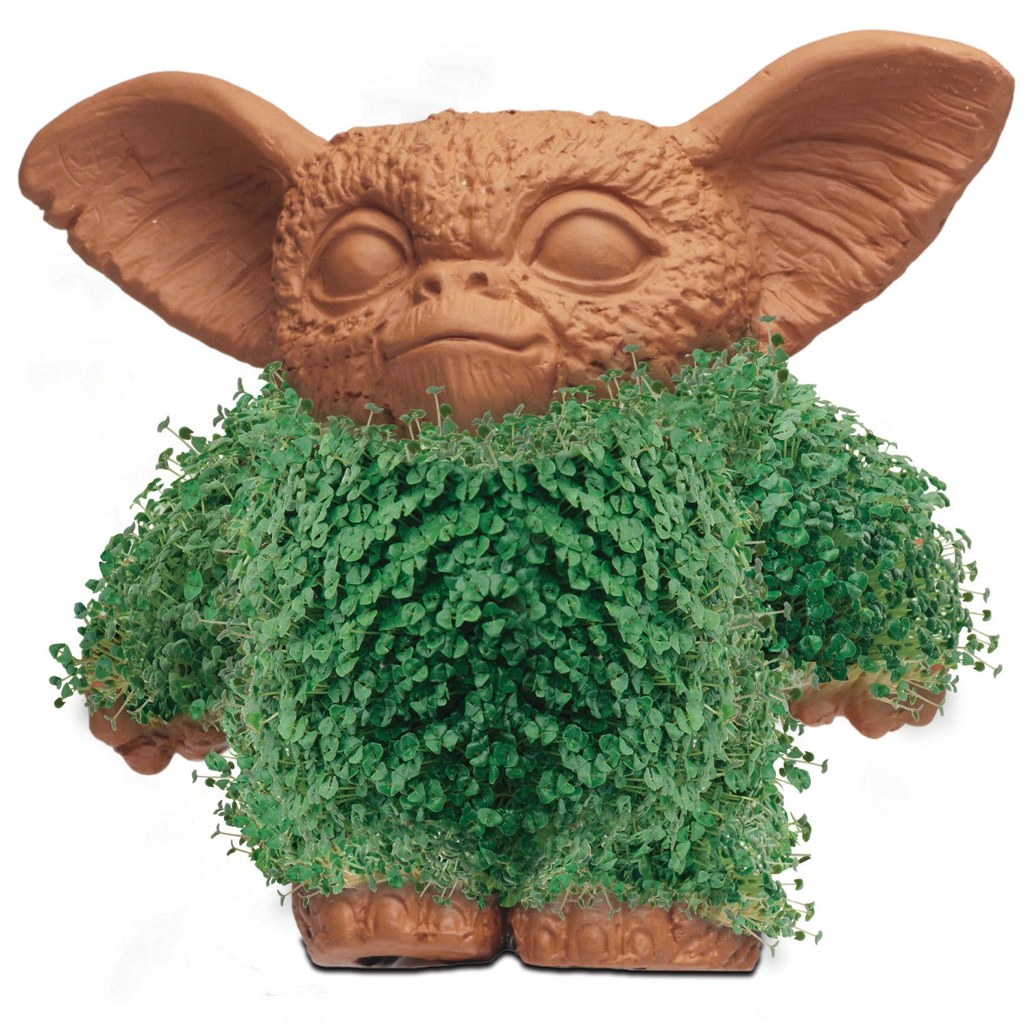 Gremlins Gizmo Chia Pet
