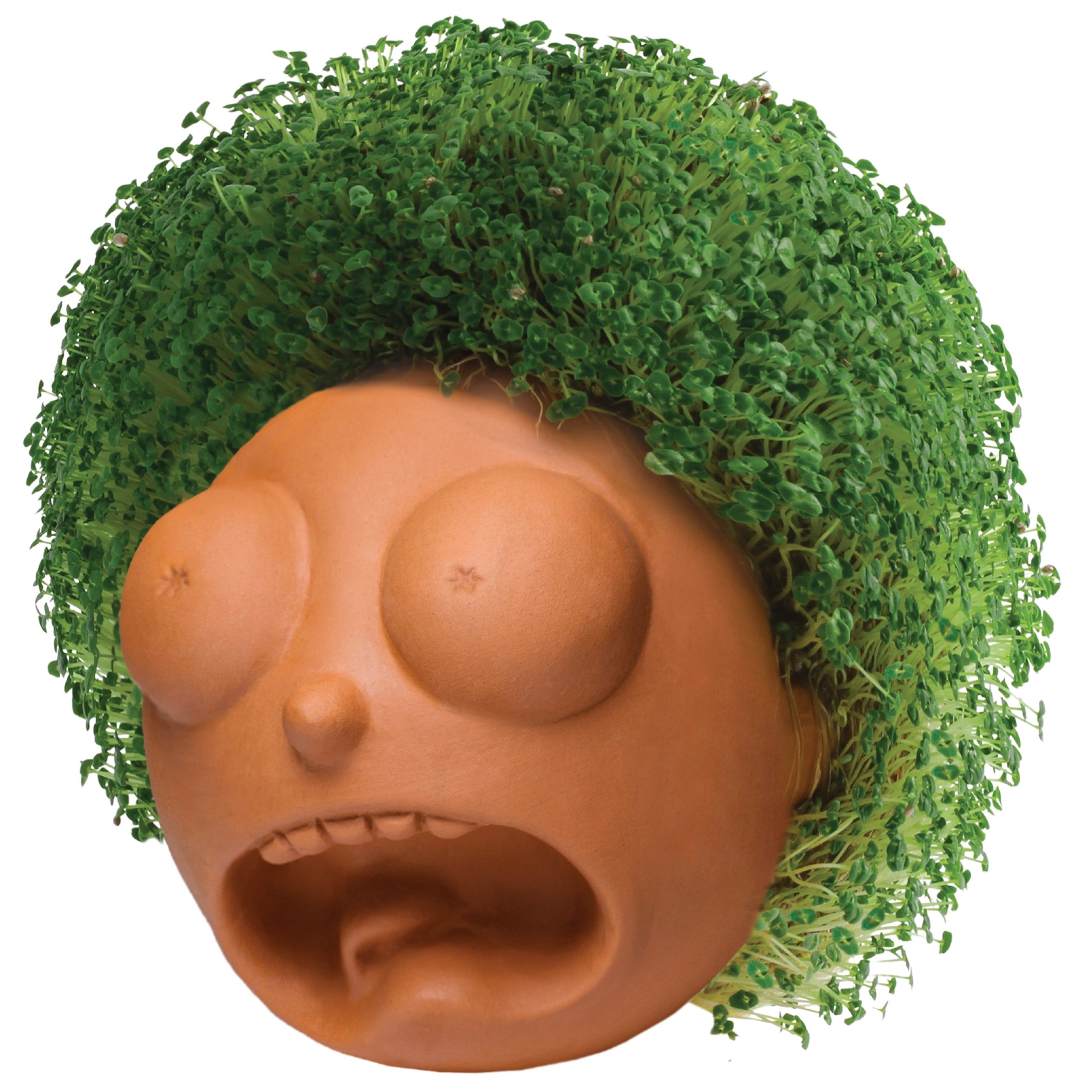Rick and Morty Chia Pet Morty