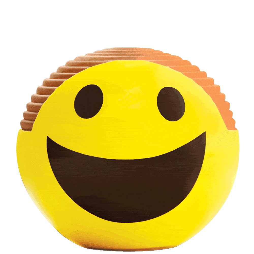 Alternative view of Emoji Smiley Chia Pet
